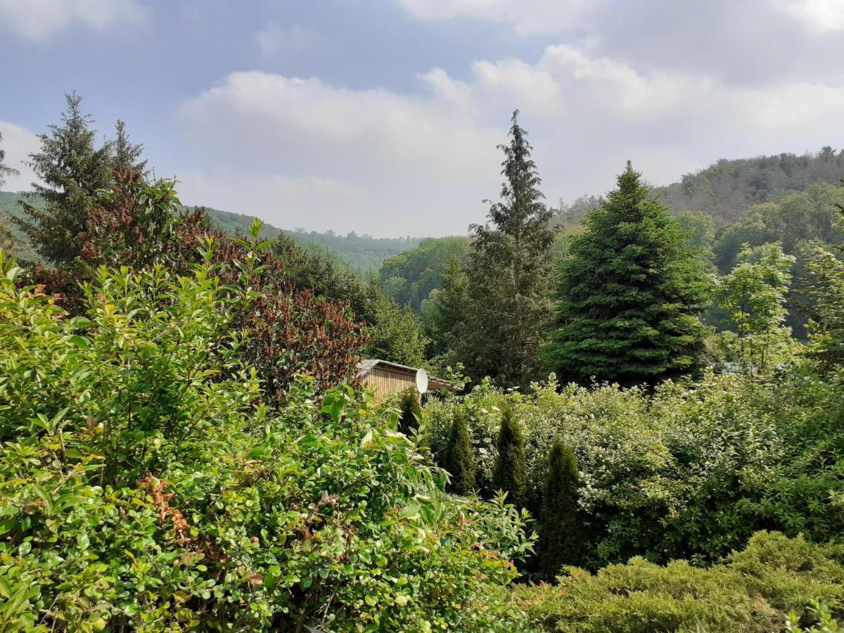 Talblick 2 - Ihr Zuhause : Das Ferienhaus Mitten Im Idyllischen Tal Bad Bibra 外观 照片