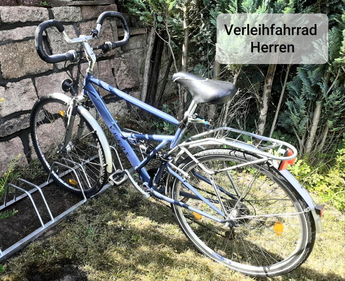 Talblick 2 - Ihr Zuhause : Das Ferienhaus Mitten Im Idyllischen Tal Bad Bibra 外观 照片